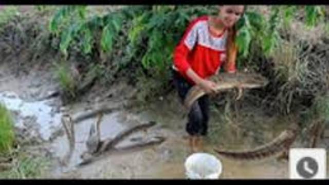 Beautiful Girl Fishing - Amazig Fishing at Battambang - Cambodia Traditional Fishing(part1)