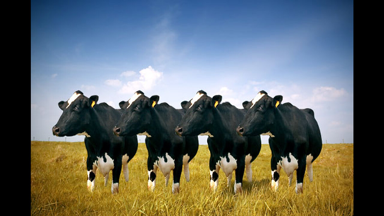 NEW WORLD ORDER AGENDA: FEED CLONED COWS TO THE MASSES