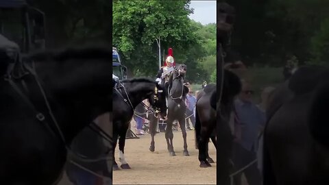 The kings guards showing good control horses that lost it #horseguardsparade