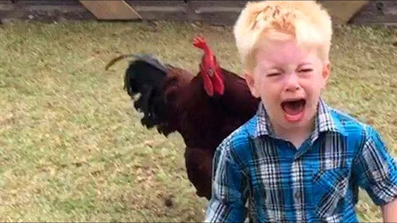 Funniest animals scaring baby,,, 🐓🐓💕💕funny video