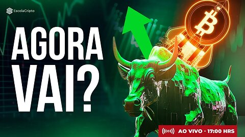 O Bitcoin vai continuar subindo, ou é só vôo de galinha?