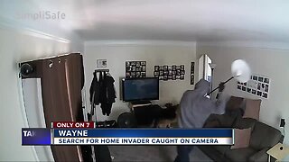 Caught on camera: German Shepherd confronts burglar inside of home