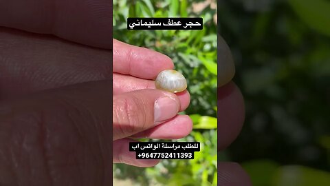 عطف سليماني