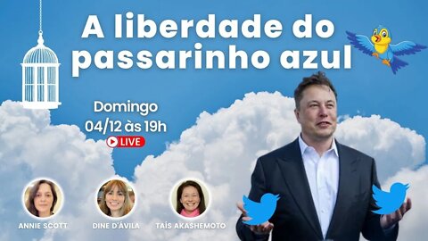 A liberdade do Passarinho azul