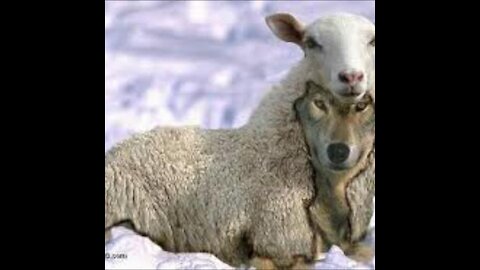 Pastor Tom Hughes: "The False Prophet, Is He Here?"