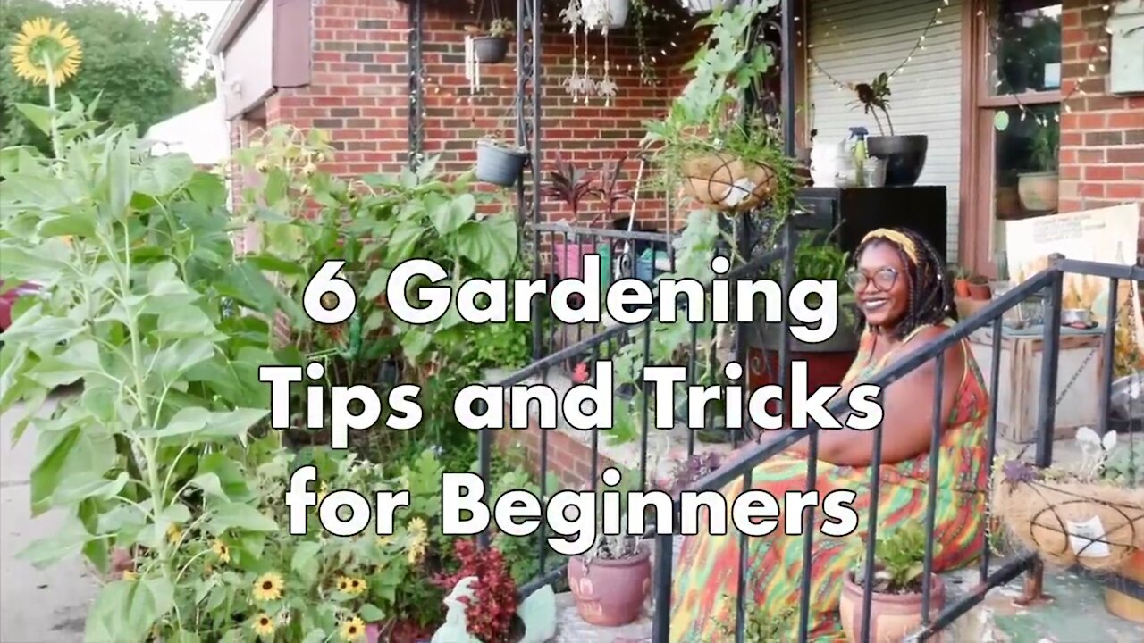 Gardening Tips And Trick for Beginners