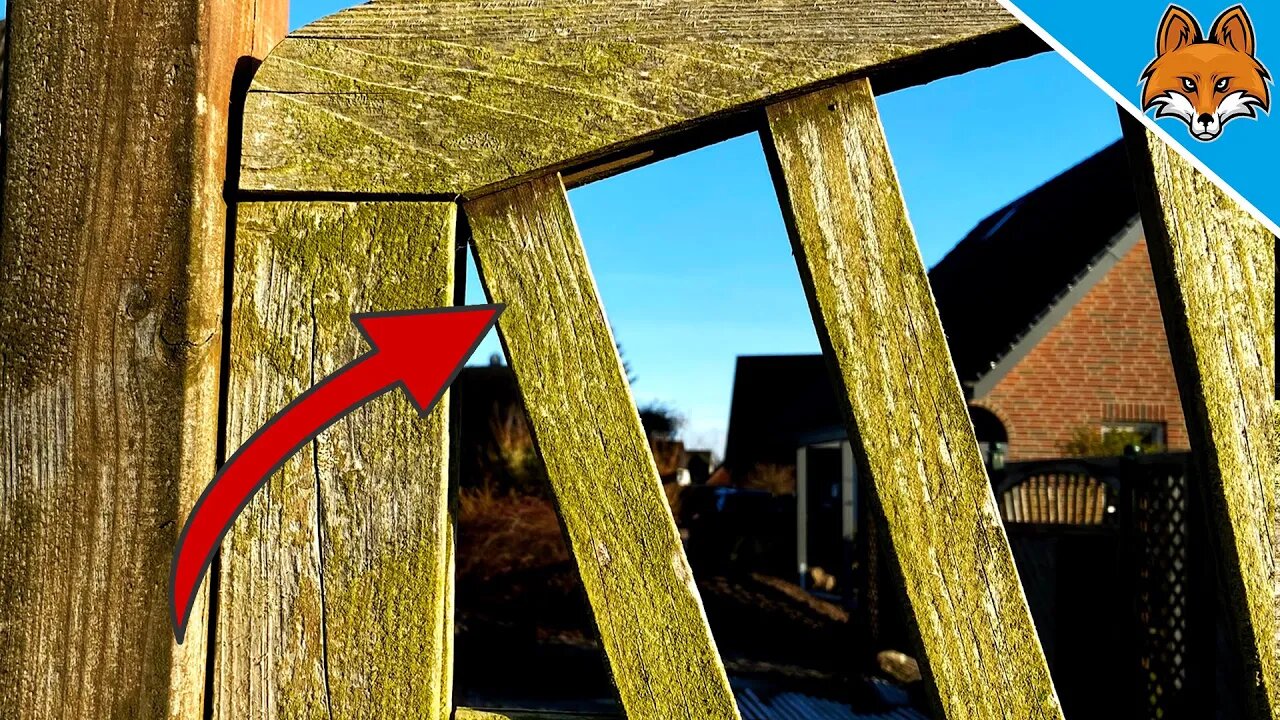 THIS is how you can remove Green Algae from Wood 💥 (INCREDIBLE Easy) 🤯