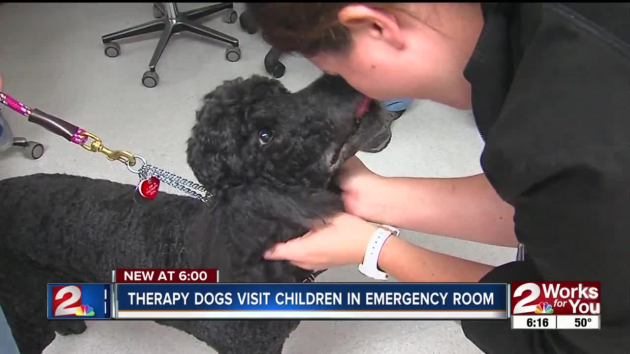 Karing K-9s visit kids hospitalized for the holiday