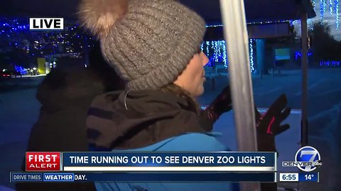 Tickets for Denver Zoo's ‘Zoo Lights' now available for purchase