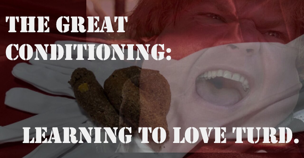 The Great Conditioning: Learning to Embrace Turd.