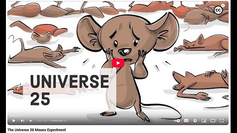 Eksperyment z myszami ...