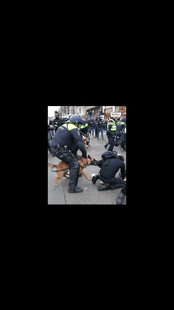 Police Use Dogs, Batons In Violent Clashes With Protesters Against Vaccine Lockdowns and Mandates