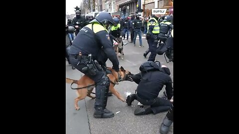 Police Use Dogs, Batons In Violent Clashes With Protesters Against Vaccine Lockdowns and Mandates