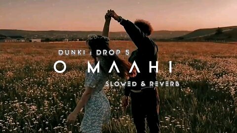 o maahi sloved and reverse song dunking song 2.0