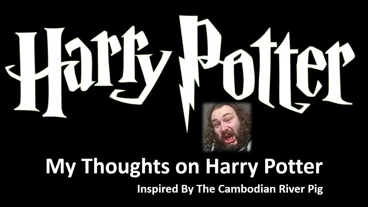My Thoughts on Harry Potter (Inspired by The Cambodian River Pig) [With Bloopers]