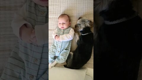 Cute Baby And Dog Chilling On Bed