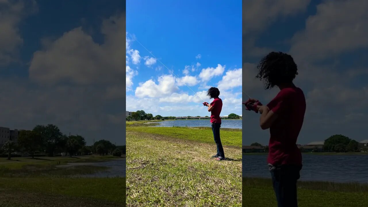 Kite flying on walk #flyingkite #kiteflying