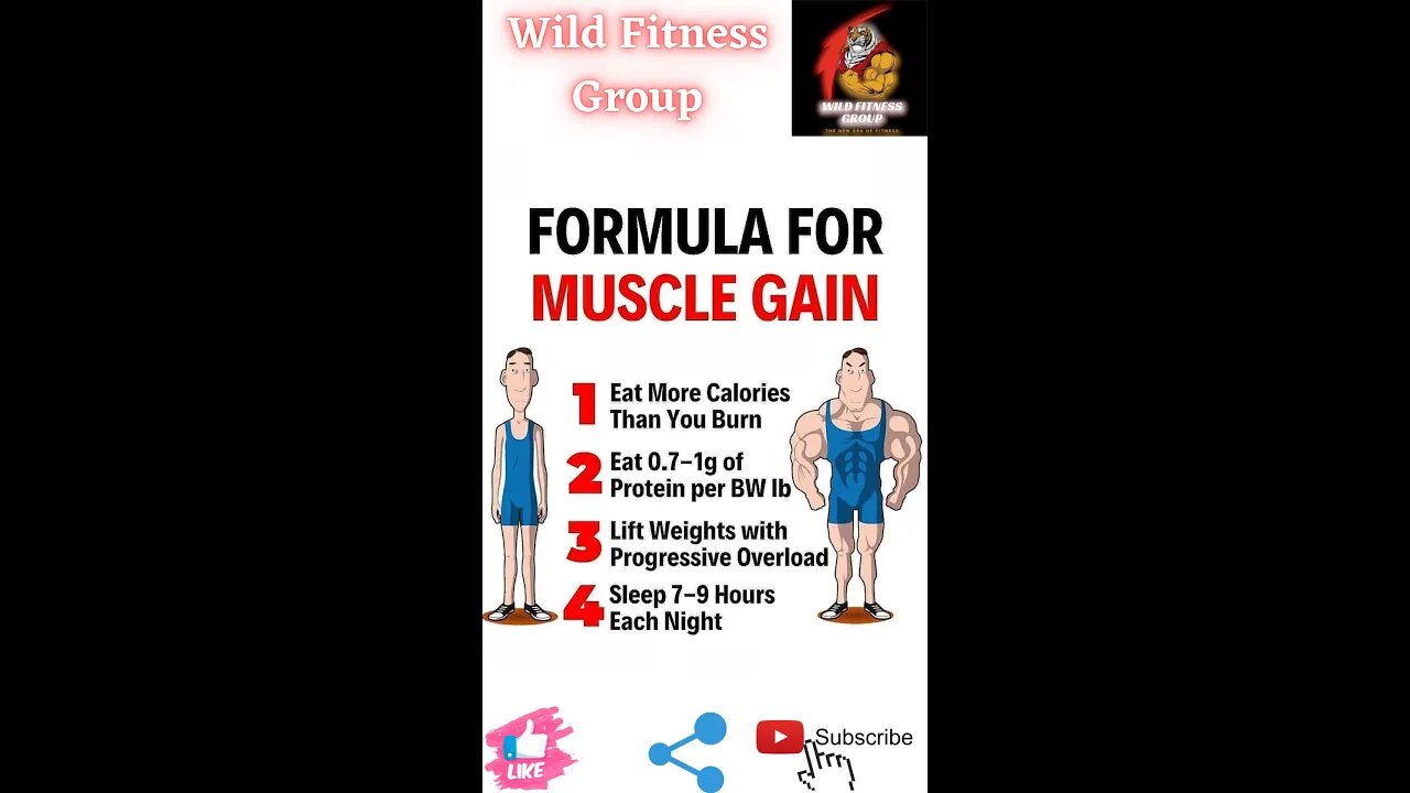 🔥Formula for muscle gain🔥#fitness🔥#wildfitnessgroup🔥#shorts🔥