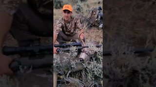 Wyoming Public Land Mule Deer Buck Down!