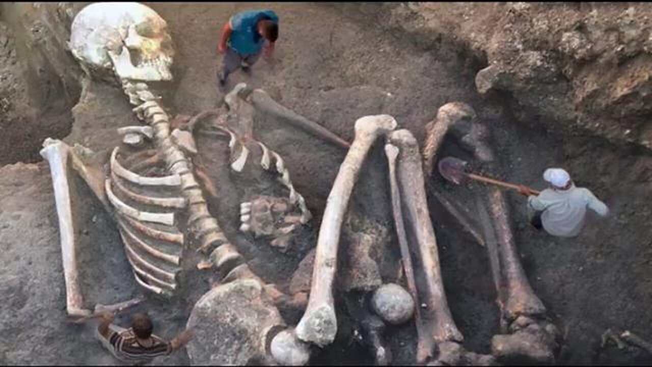 GIANT SKELETONS AND PETRIFIED REMAINS. WHEN THE WORLD WAS MUCH LARGER THAN IT IS NOW