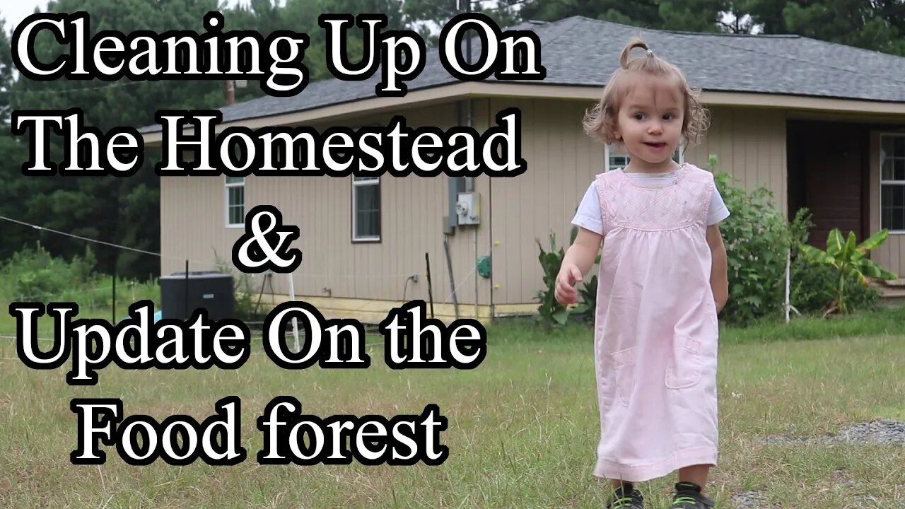 Cleaning Up On The Homestead/Food Forest Update