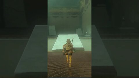 This Breath of the Wild Secret Is So Crazy!#zelda #shorts