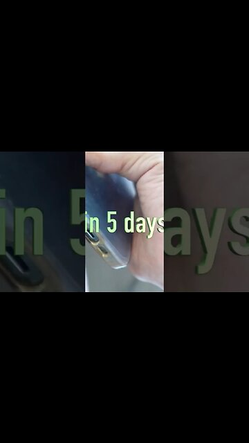 In 5 Days make 5 figures Wholesaling Real Estate #Get2Steppin w/S2 🌱 Live Convo with Cash Buyer