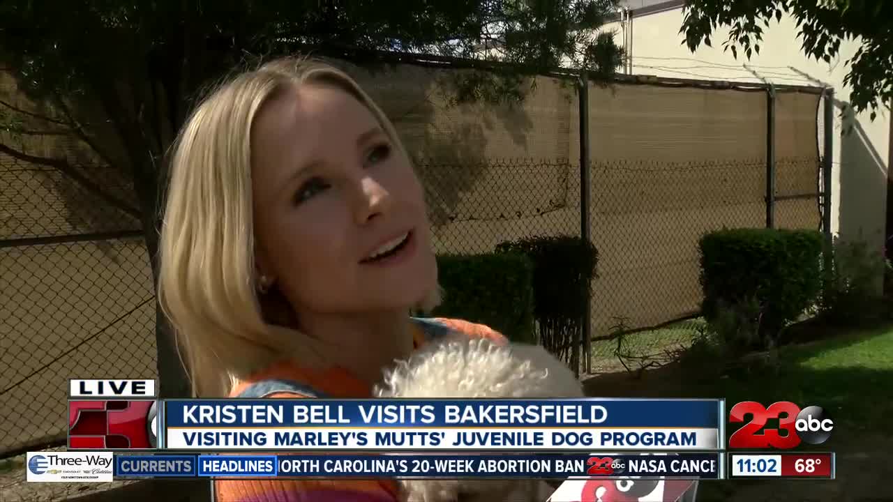 Kristen Bell in Bakersfield to visit Marley's Mutts juvenile dog program