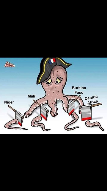 🧐 Why Niger is important?