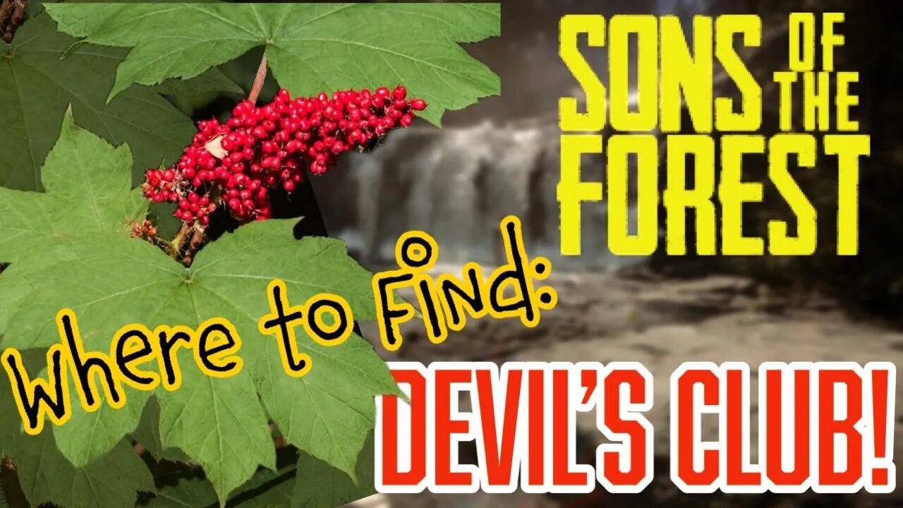 Sons of the Forest How to Find Devils Club