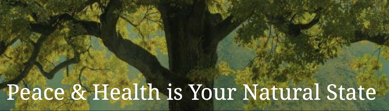 Your Natural State is Health! - Our Health Panel - You Can Heal from Anything!