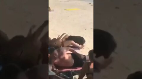 That pig wanted some bacon 😂