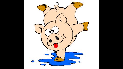 Pigs dive in river