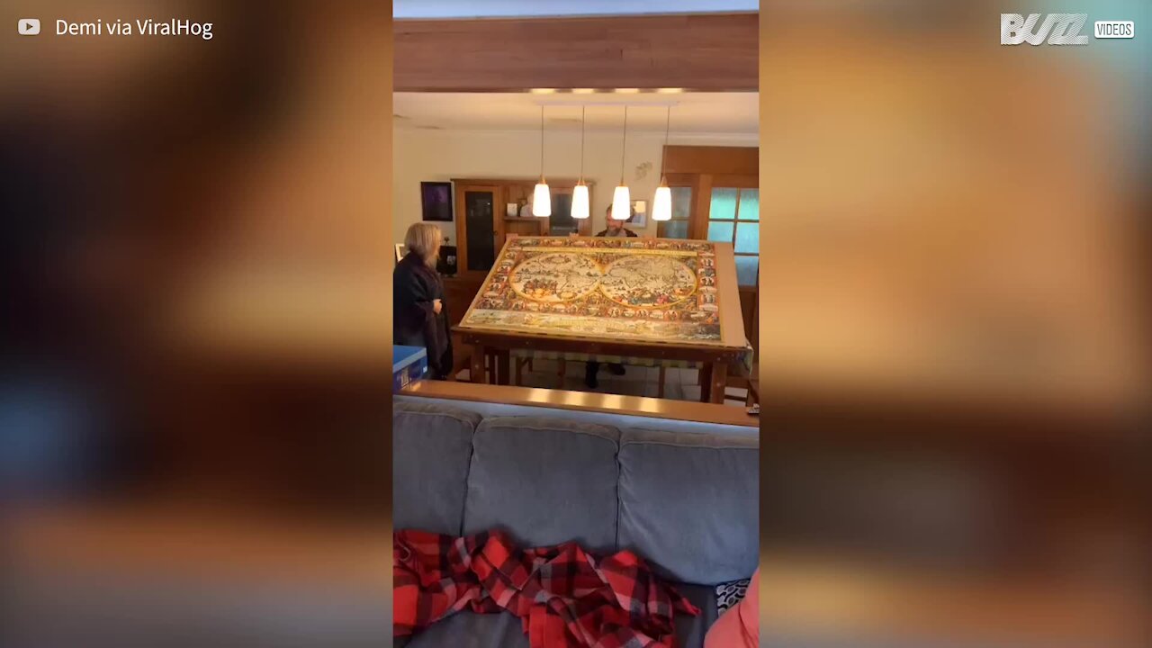 Cette femme voit tomber par terre son puzzle de 9000 pièces