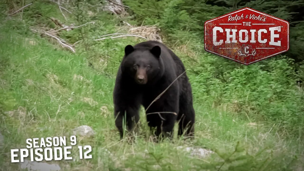 Coastal Black Bear Hunting with Crossbows! - The Choice (Full Episode) // S9: Episode 12