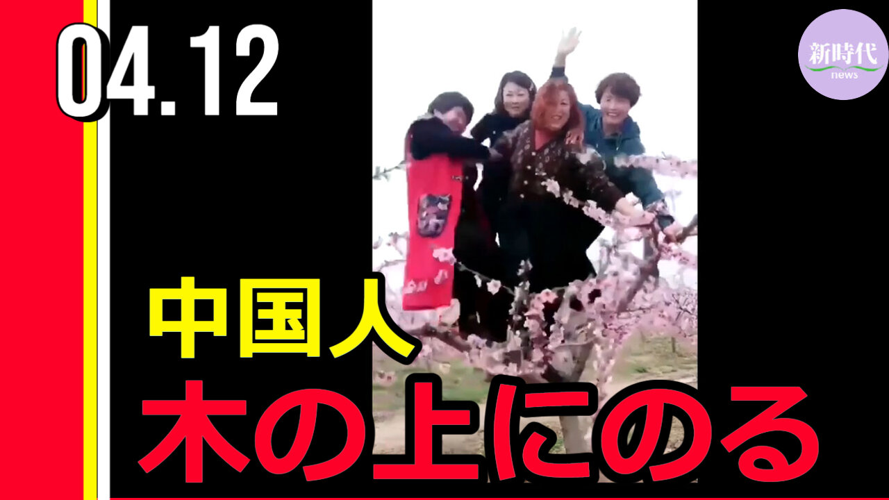 中国人、木の上にのる/中共の洗脳教育を受け続けた中国人の行動に唖然
