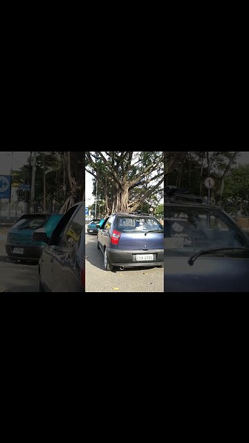 Take Dahora desse palio g1