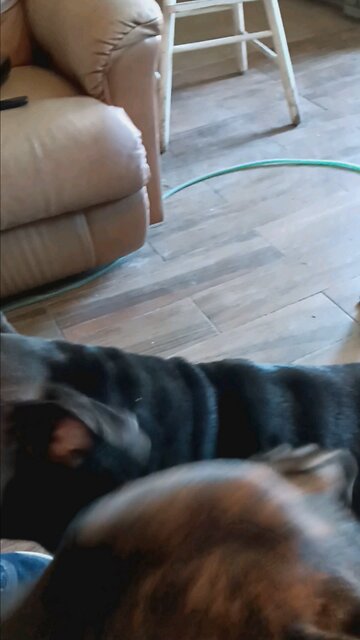 Billy in his last days..