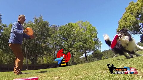 DiscDog Dojo # 67 | Throwing Thursday Take 3