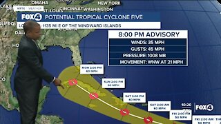 Tropics Update 6/30/21 10 PM