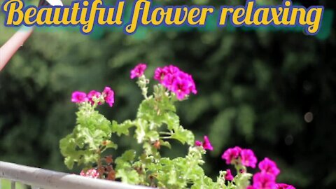 Relaxing music with beautiful flowers|Deep sleep instrumental music|Stress relief meditation music