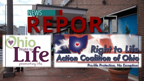Catholic — News Report — Faux-Life Movement