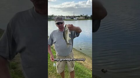 This lure CATCHES BASS!