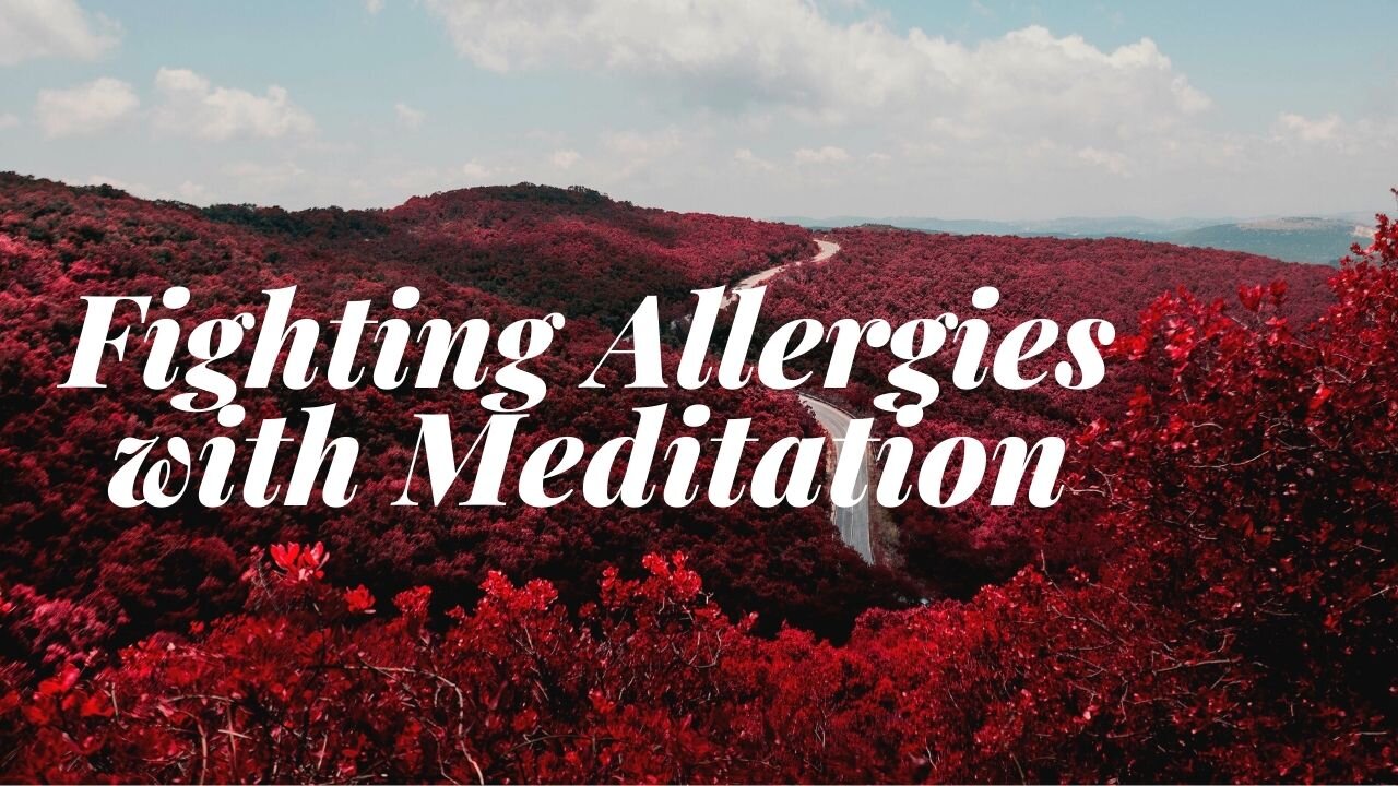 Fighting allergies with mediation