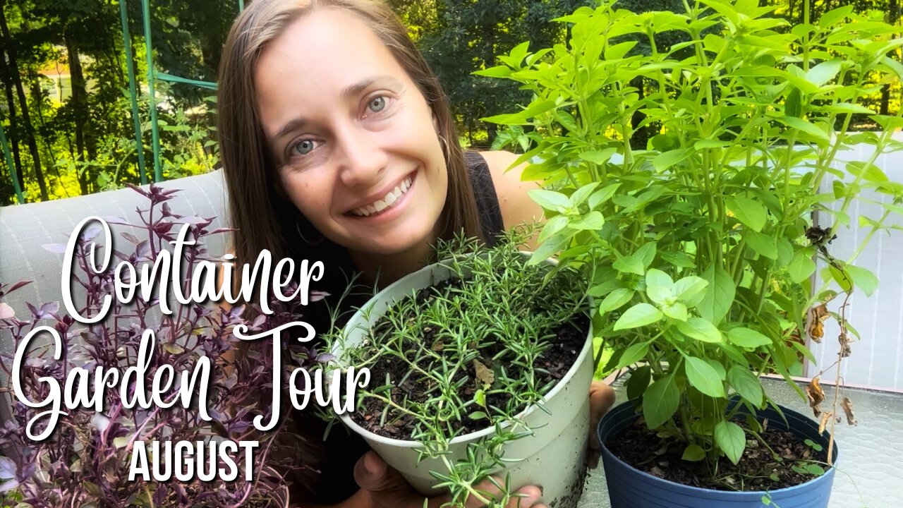 Container Garden Tour | August 2023