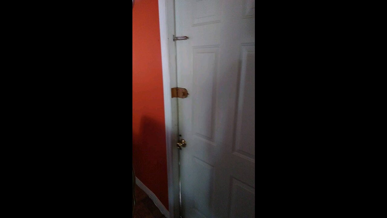 What's outside this door