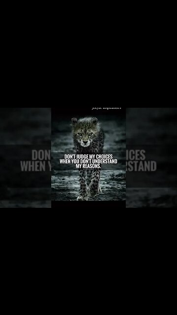 Daily Inspirational Quotes