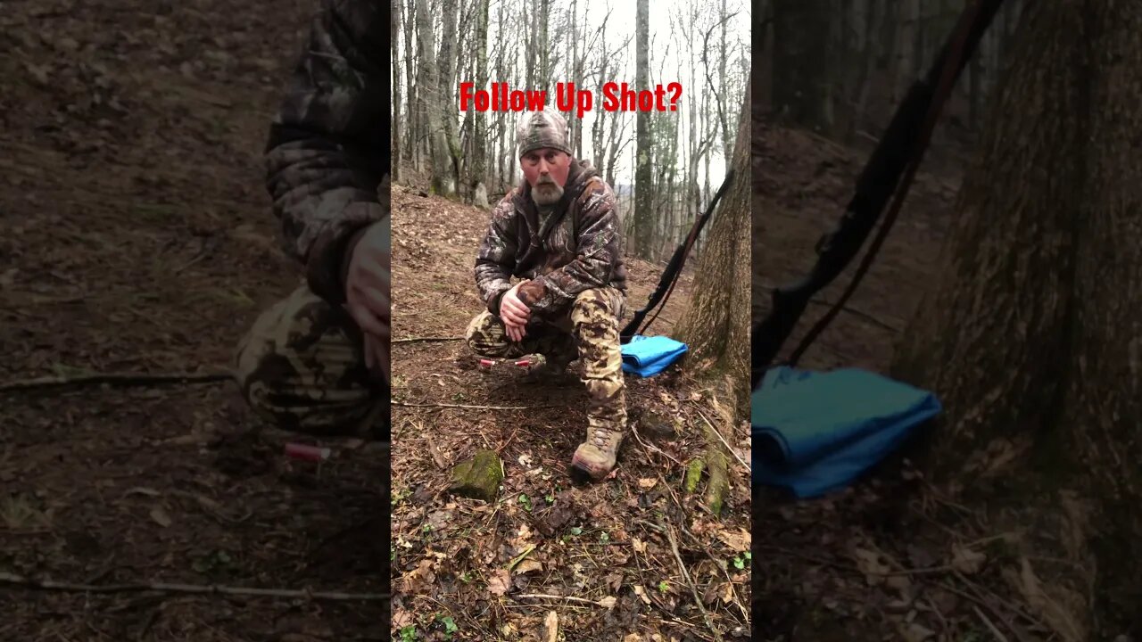 Do You Need A Follow Up Shot? #shotgun #shooting #turkeyhunting #hunting