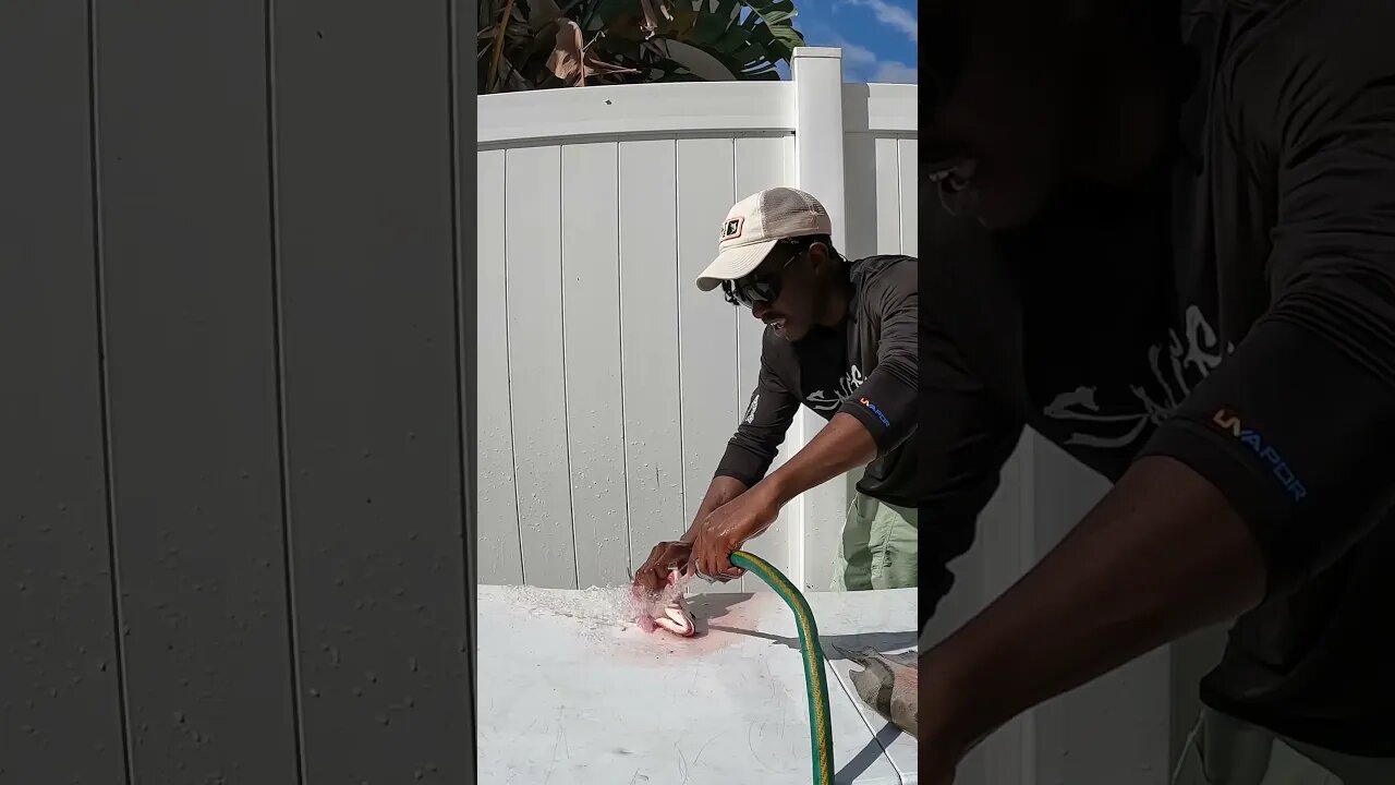 Fresh Fried Snapper in 30 seconds! #Fishing #CatchandCook #Florida #iBelongOutdoors #Cooking