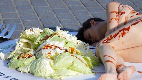 A Rebuke Of Veganism